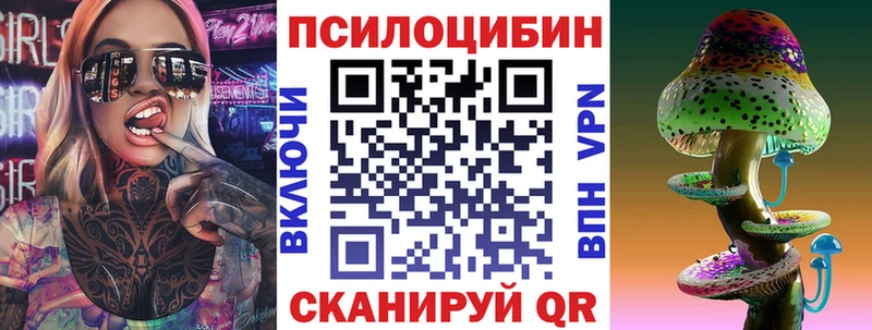 продажа наркотиков  Дигора  Галлюциногенные грибы Cubensis 